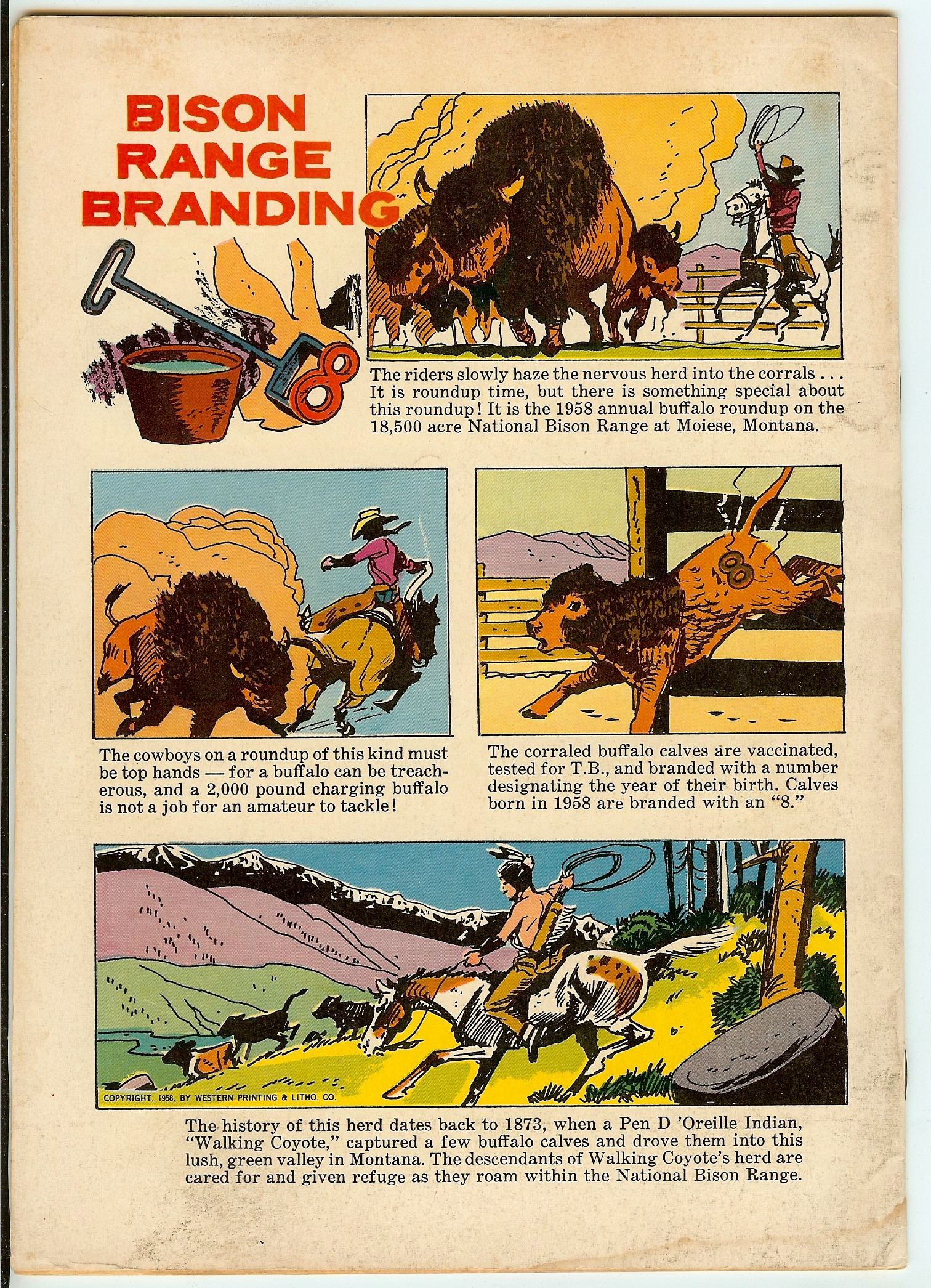 ANNIE OAKLEY Back Cover