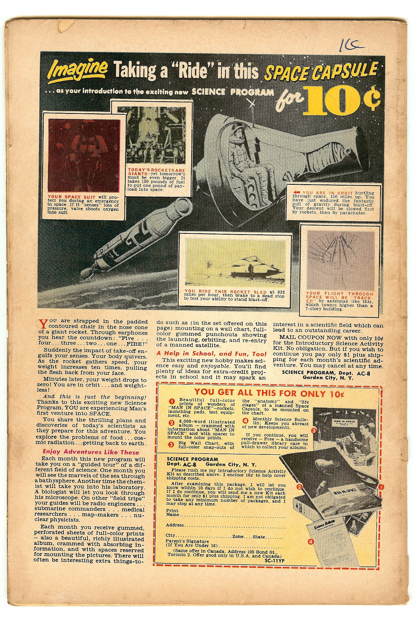 ADVENTURES OF THE FLY Back Cover