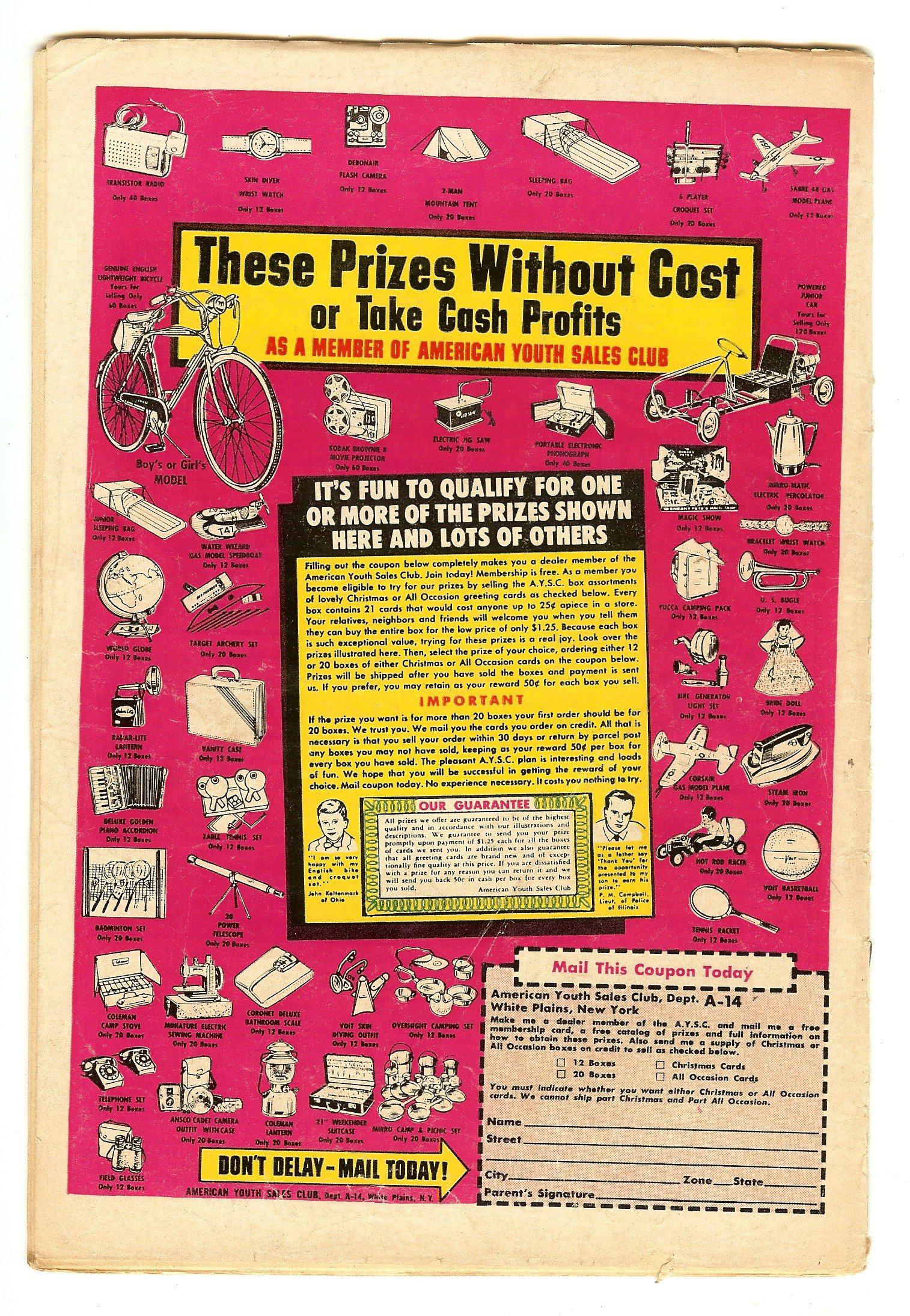 SUPERMAN Back Cover