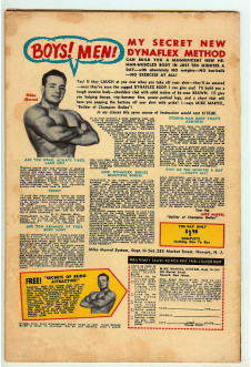 Click to see a larger back cover image