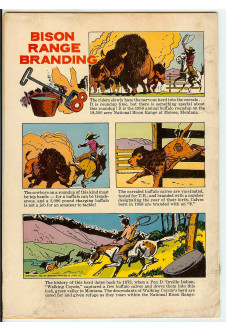 Click to see a larger back cover image