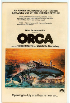 Click to see a larger back cover image