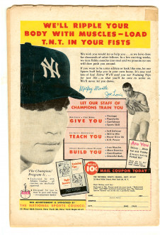 Click to see a larger back cover image