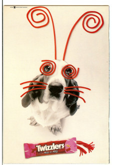 Click to see a larger back cover image