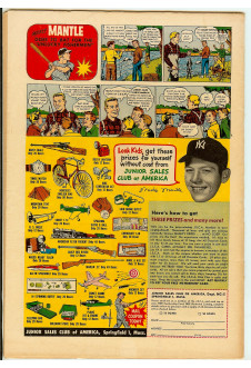 Click to see a larger back cover image