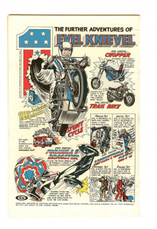 Click to see a larger back cover image