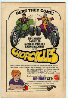 Click to see a larger back cover image
