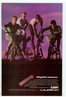 Click to see a larger back cover image