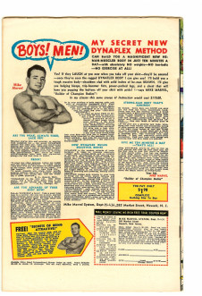 Click to see a larger back cover image