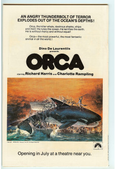 Click to see a larger back cover image