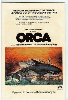 Click to see a larger back cover image