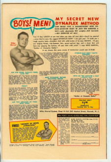 Click to see a larger back cover image