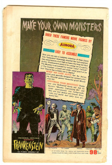 Click to see a larger back cover image