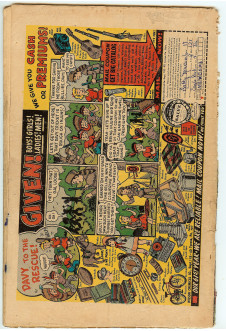 Click to see a larger back cover image