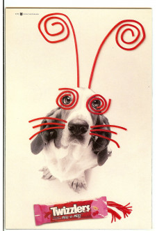 Click to see a larger back cover image