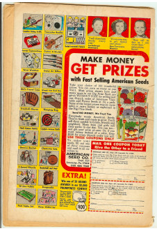 Click to see a larger back cover image