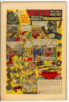 Click to see a larger back cover image