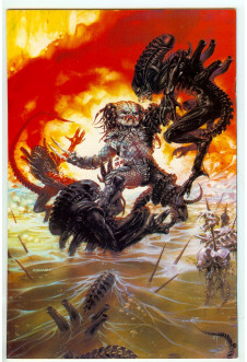 Click to see a larger back cover image