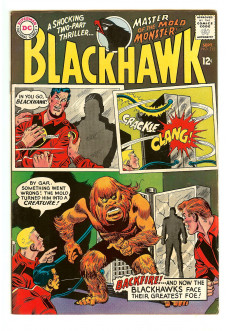 Cover of Blackhawk #212