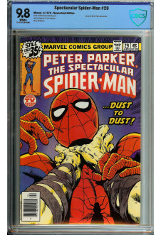 Cover of The Spectacular Spider-Man #29