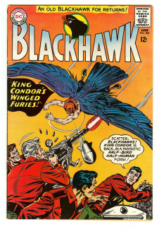Cover of Blackhawk #209