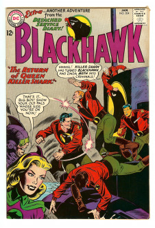 Cover of Blackhawk #204