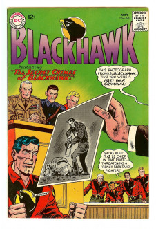 Cover of Blackhawk #208