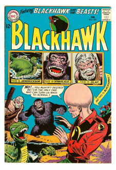 Cover of Blackhawk #205