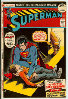 SUPERMAN #253 6.5 front cover