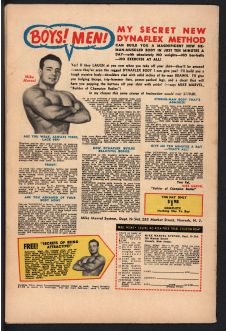 Click to see a larger back cover image