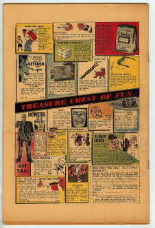 Click to see a larger back cover image