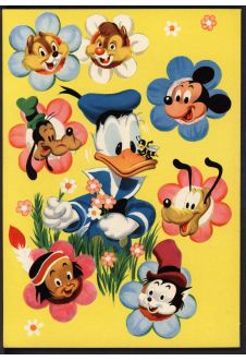 Click to see a larger back cover image