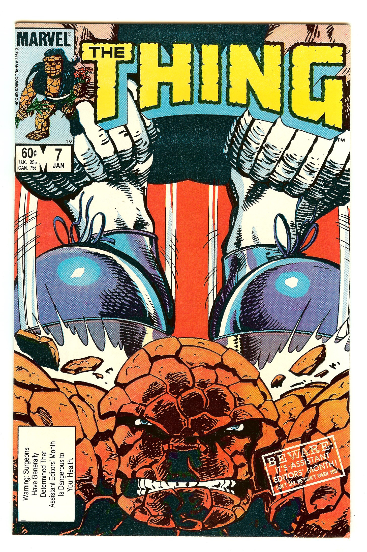 THING Front Cover