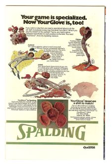 Click to see a larger back cover image