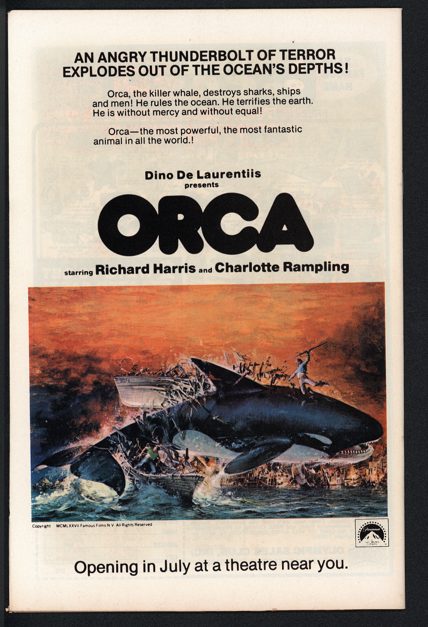 BLACK PANTHER Back Cover