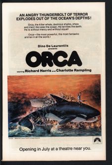 Click to see a larger back cover image