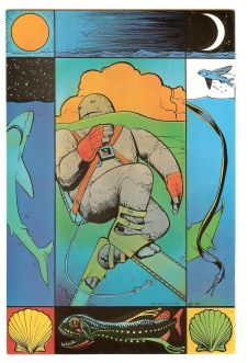 Click to see a larger back cover image