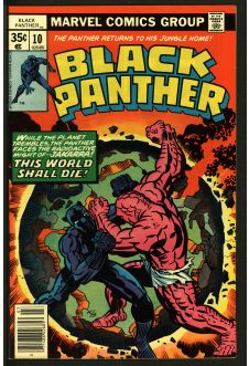 BLACK PANTHER #10 5.0 front cover