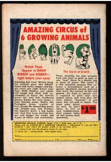 Click to see a larger back cover image