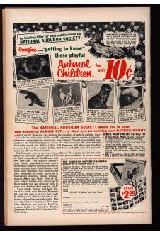 Click to see a larger back cover image