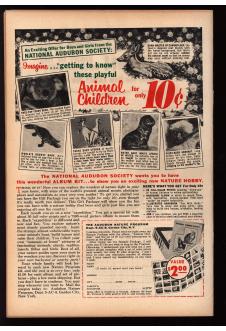 Click to see a larger back cover image