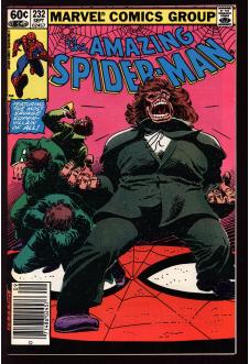 AMAZING SPIDER-MAN #232 8.0 front cover