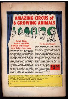 Click to see a larger back cover image