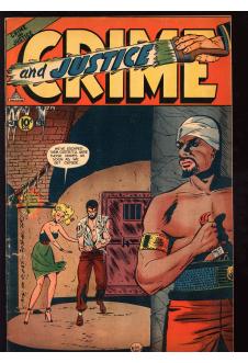 CRIME AND JUSTICE #13 4.0 front cover
