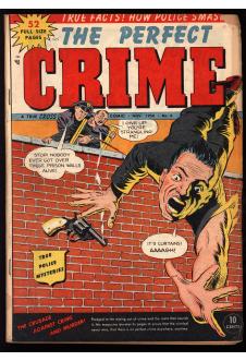 Perfect Crime 1～10+1冊 Amazon.com: Perfect crime T10: 9782413028512: Kanzaki, Yuya