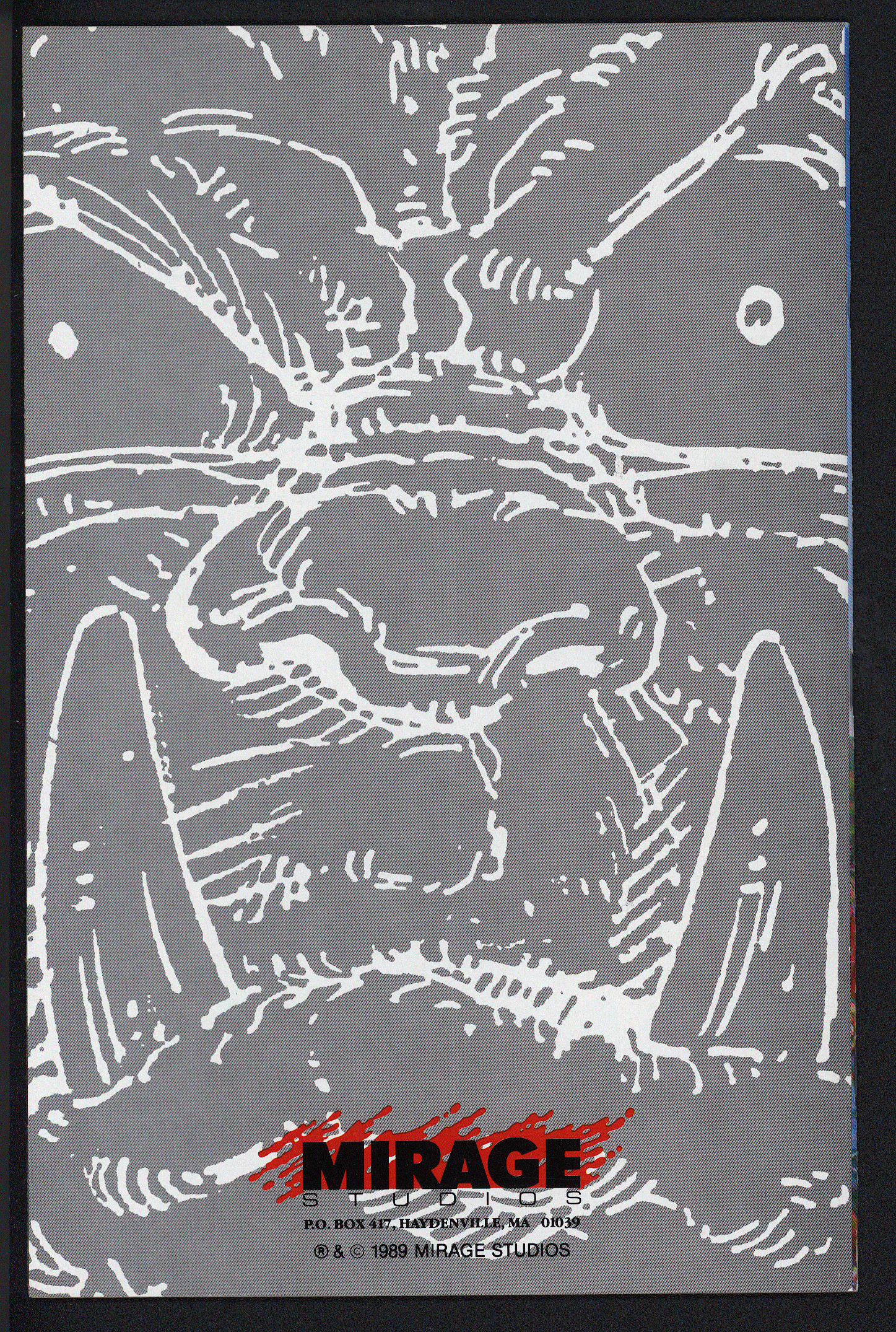 TEENAGE MUTANT NINJA TURTLES Back Cover