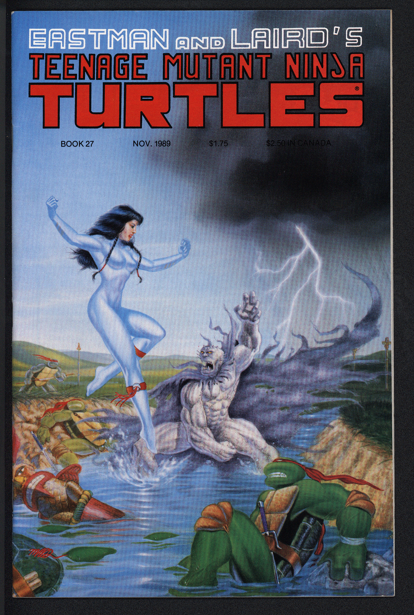 TEENAGE MUTANT NINJA TURTLES Front Cover