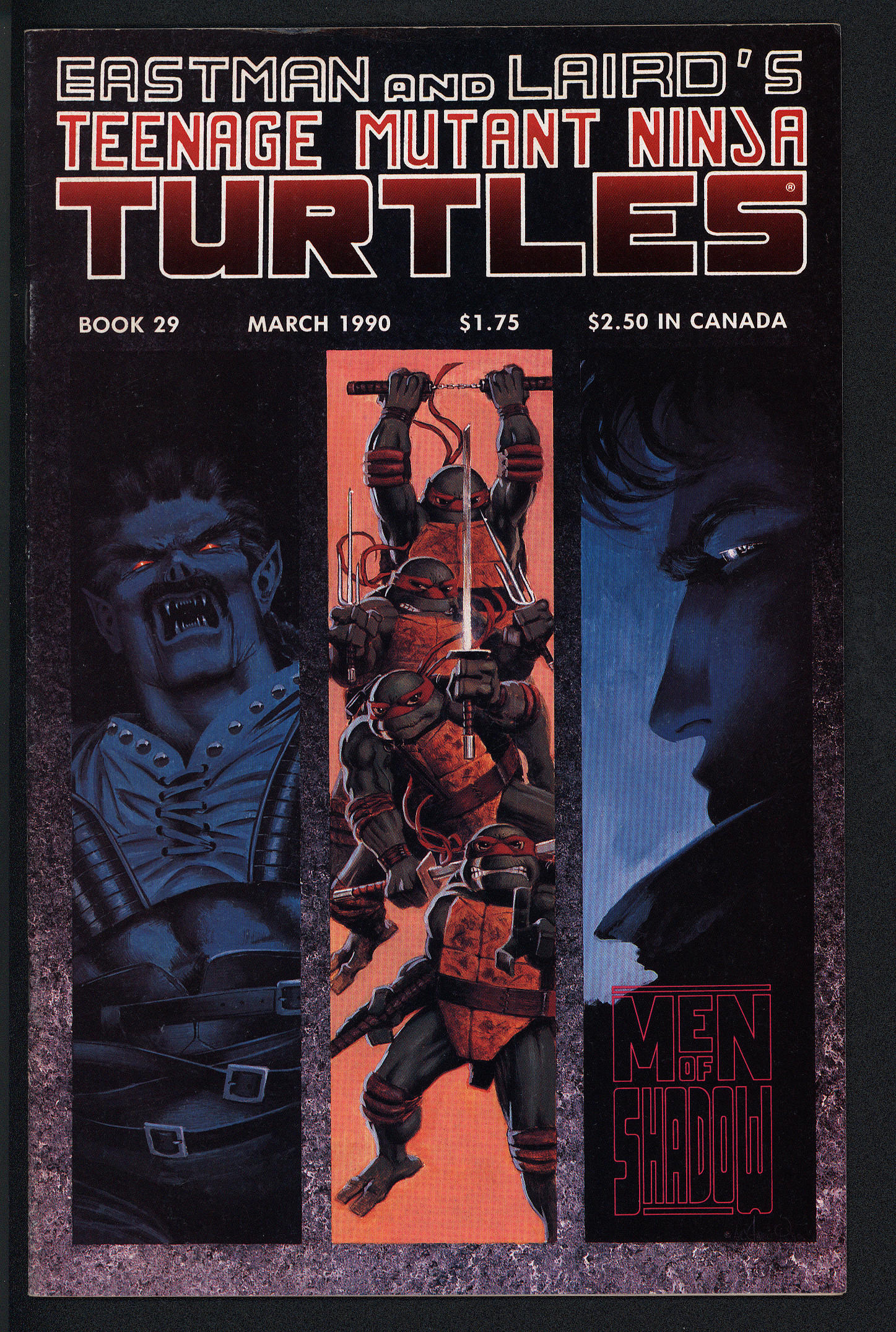 TEENAGE MUTANT NINJA TURTLES Front Cover