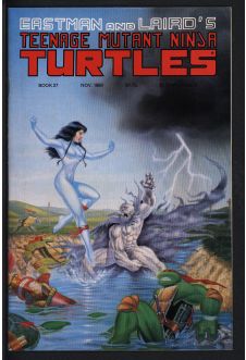TEENAGE MUTANT NINJA TURTLES #27 6.0 front cover