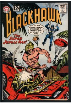 Cover of Blackhawk #173